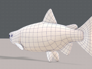 fish v05 3D 모델