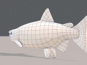 pesce v05 Modello 3D