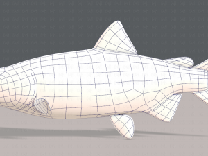 fish v05 3D 모델