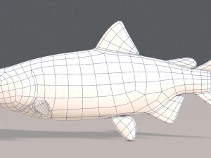 pesce v05 Modello 3D