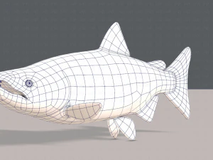 pesce v05 Modello 3D