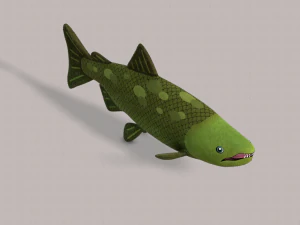 pesce v05 Modello 3D