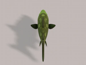 pesce v05 Modello 3D