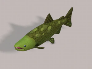 pesce v05 Modello 3D