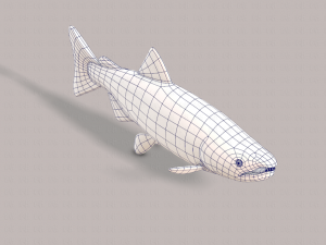 fish v05 3D 모델