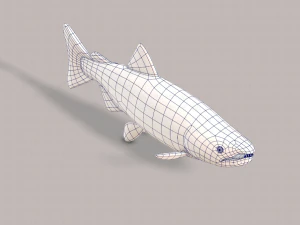 pesce v05 Modello 3D