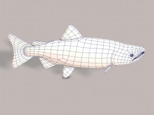 pesce v05 Modello 3D