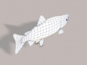 pesce v05 Modello 3D