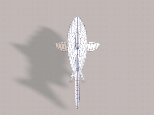 fish v05 3D 모델