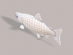 fish v05 3D 모델
