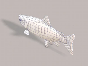 pesce v05 Modello 3D