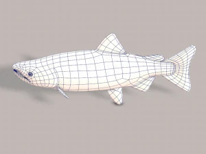 pesce v05 Modello 3D