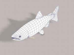 fish v05 3D 모델