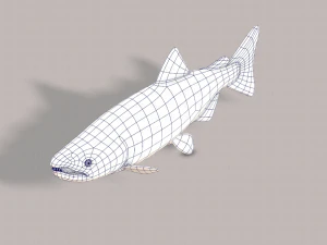 pesce v05 Modello 3D