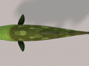 pesce v05 Modello 3D