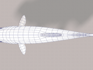 fish v05 3D 모델