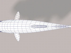 pesce v05 Modello 3D