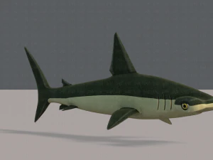 shark v02 3D Model