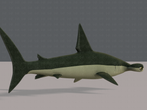shark v02 3D Модель