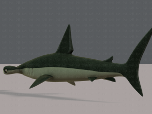 shark v02 3D Модель