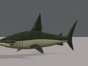 shark v02 3D Модель