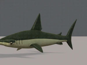 shark v02 3D Model