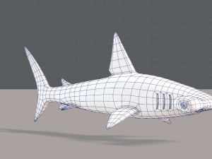 shark v02 3D Модель