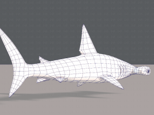 shark v02 3D Модель