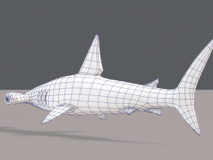 shark v02 3D Модель