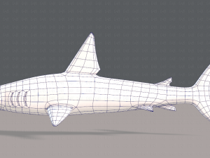 shark v02 3D Модель