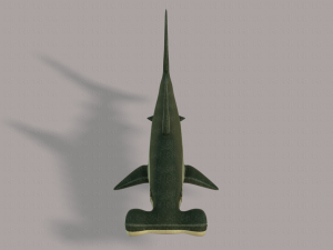 shark v02 3D Модель