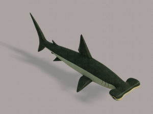 shark v02 3D Модель
