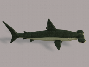 shark v02 3D Модель