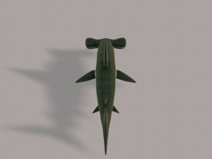 shark v02 3D Модель