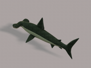 shark v02 3D Модель