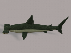 shark v02 3D Модель