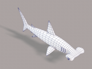 shark v02 3D Модель