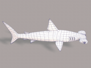 shark v02 3D Модель