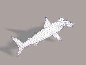 shark v02 3D Модель