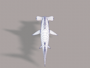 shark v02 3D Модель
