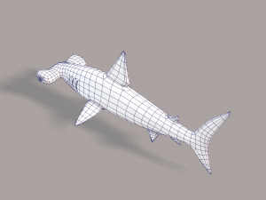 shark v02 3D Модель