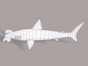 shark v02 3D Модель