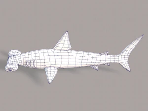 shark v02 3D Model