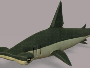 shark v02 3D Модель