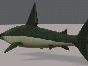 shark v02 3D Модель