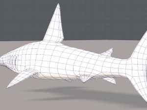 shark v02 3D Модель