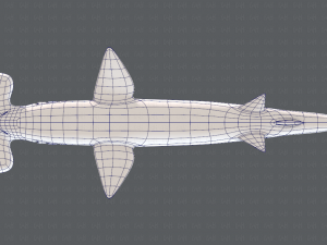 shark v02 3D Модель