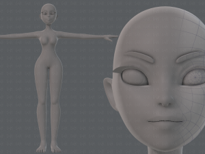 base mesh woman 19 3D मॉडल