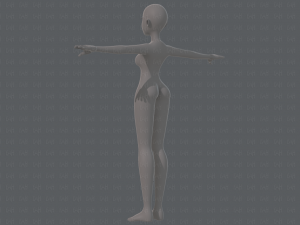base mesh woman 19 Modelo 3D
