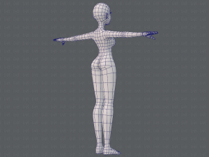 base mesh woman 19 Modelo 3D